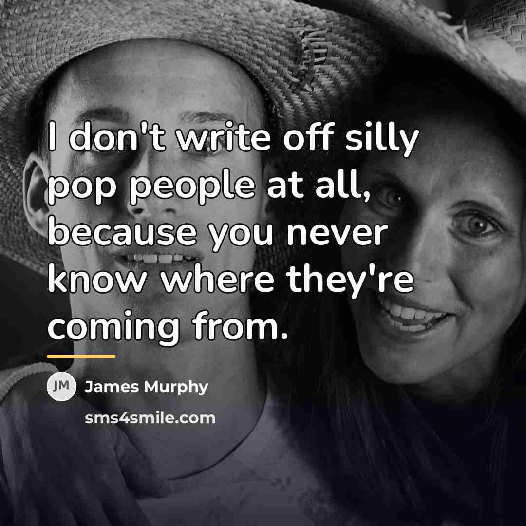 “I don't write off silly pop people at all, because…” quote by James Murphy