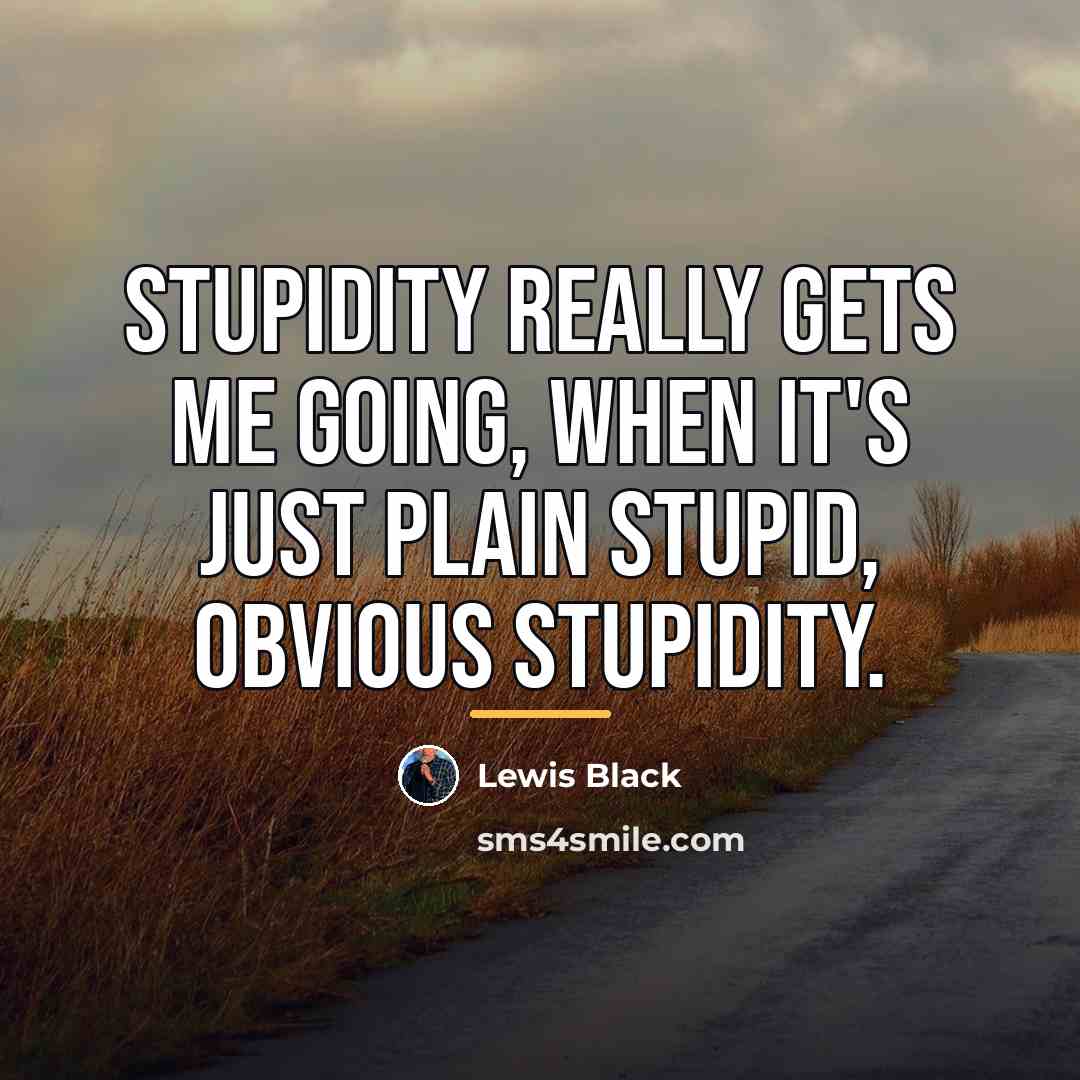 “Stupidity really gets me going, when it's just plain stupid,…” quote by Lewis Black