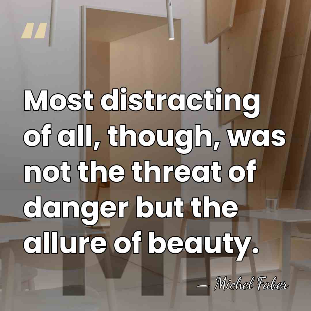 Most distracting of all, though, was not the threat of danger but&hellip; - Michel Faber