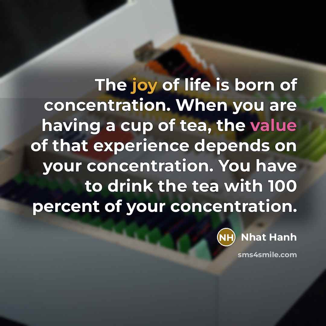 “The joy of life is born of concentration. When you…” quote by Nhat Hanh