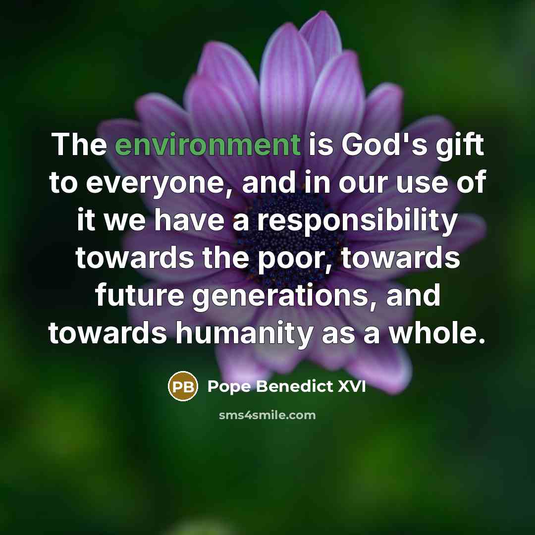“The environment is God's gift to everyone, and in our…” quote by Pope Benedict XVI