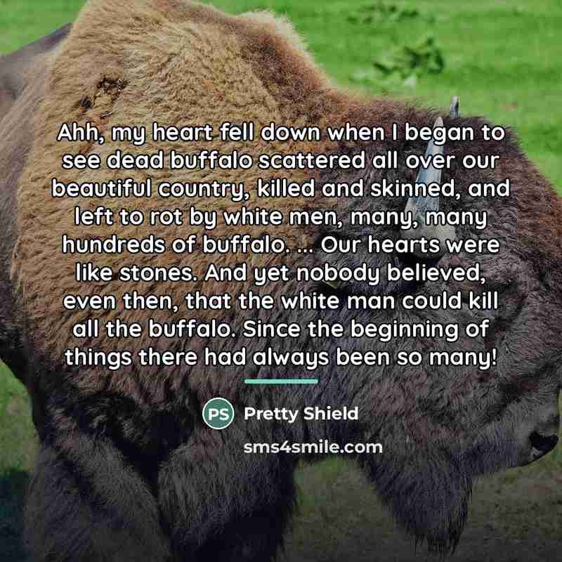“Ahh, my heart fell down when I began to see…” quote by Pretty Shield