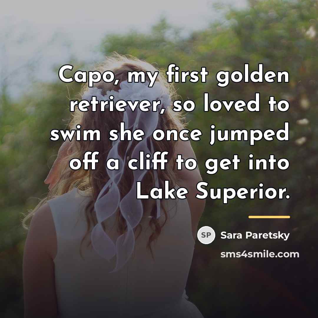 “Capo, my first golden retriever, so loved to swim she…” quote by Sara Paretsky