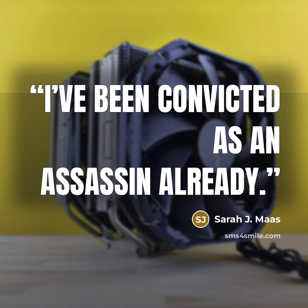 “I’ve been convicted as an assassin already.” quote by Sarah J. Maas