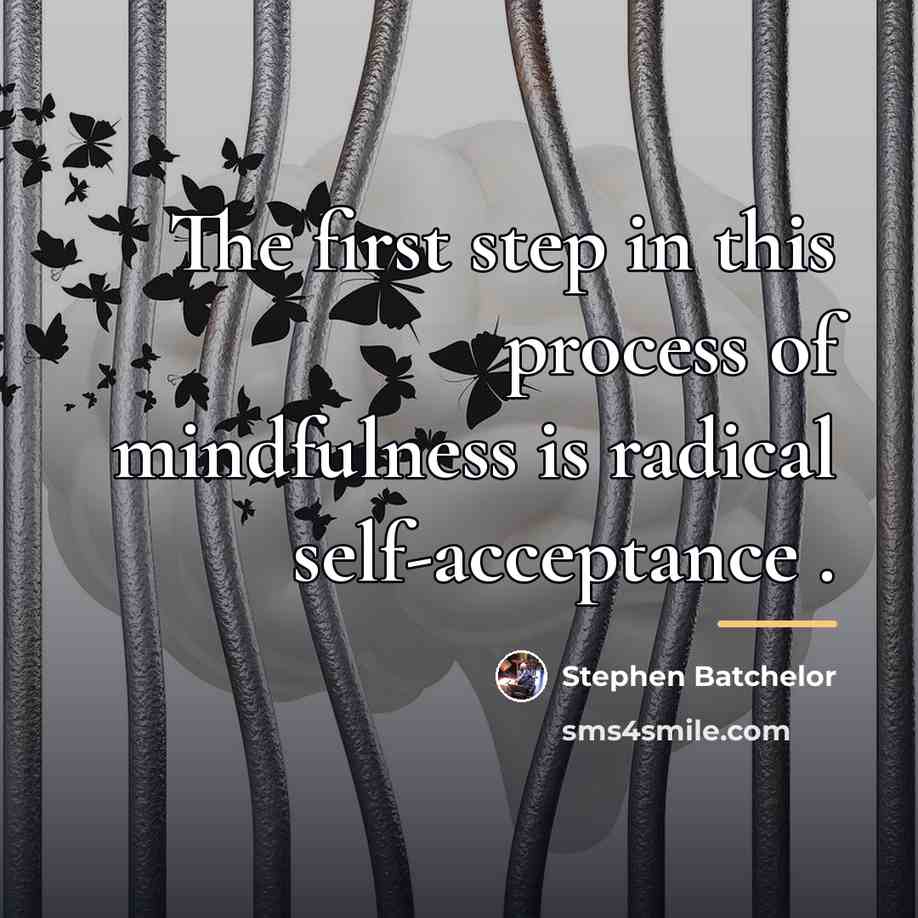 “The first step in this process of mindfulness is radical…” quote by Stephen Batchelor