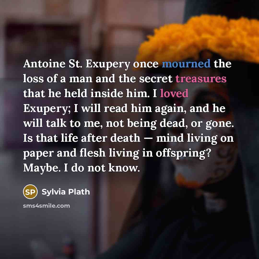“Antoine St. Exupery once mourned the loss of a man…” quote by Sylvia Plath