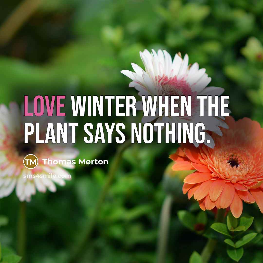 “Love winter when the plant says nothing.” quote by Thomas Merton