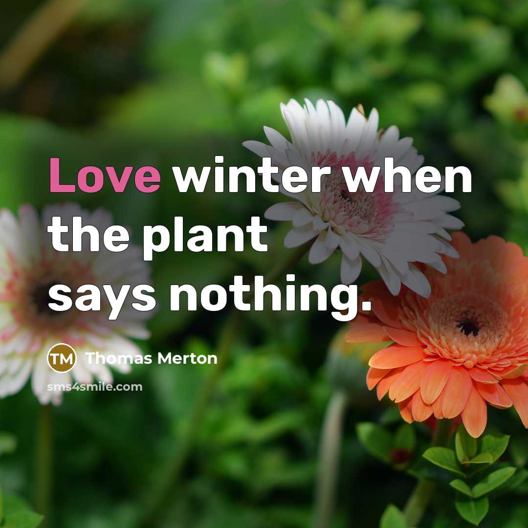 “Love winter when the plant says nothing.…” quote by Thomas Merton
