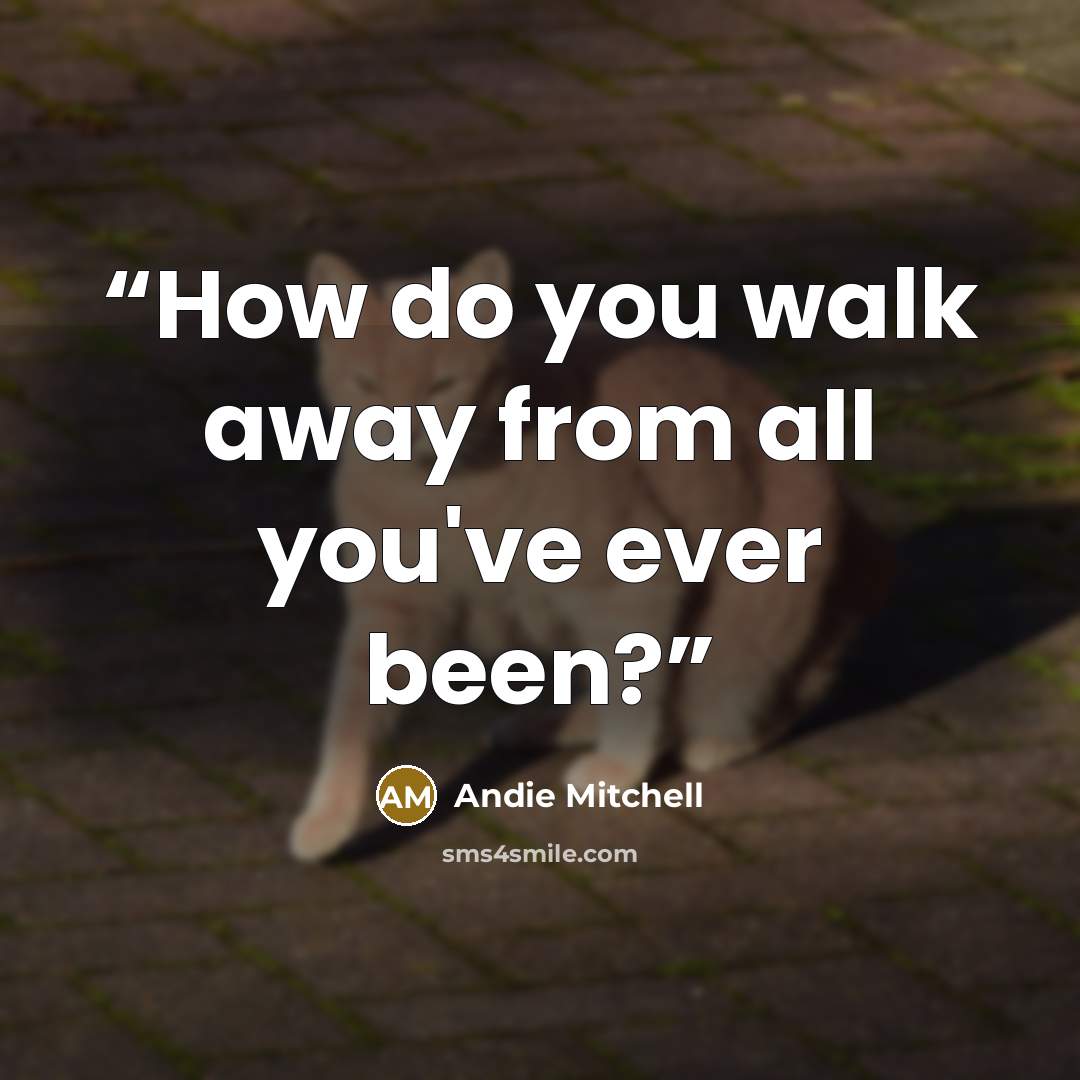 “How do you walk away from all you've ever been?” quote by Andie Mitchell