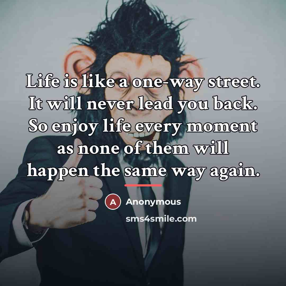 “Life is like a one-way street. It will never lead…” quote by Anonymous
