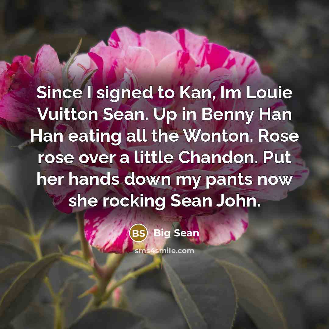 “Since I signed to Kan, Im Louie Vuitton Sean. Up in Benny Han Han eating all the Wonton. Rose rose over a little Chandon. Put her hands down my pants now she rocking Sean John.” quote by Big Sean