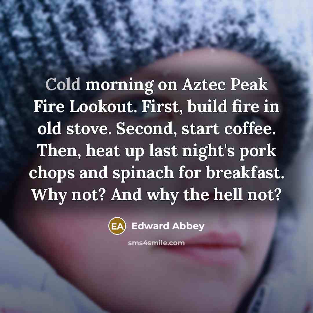 “Cold morning on Aztec Peak Fire Lookout. First, build fire…” quote by Edward Abbey
