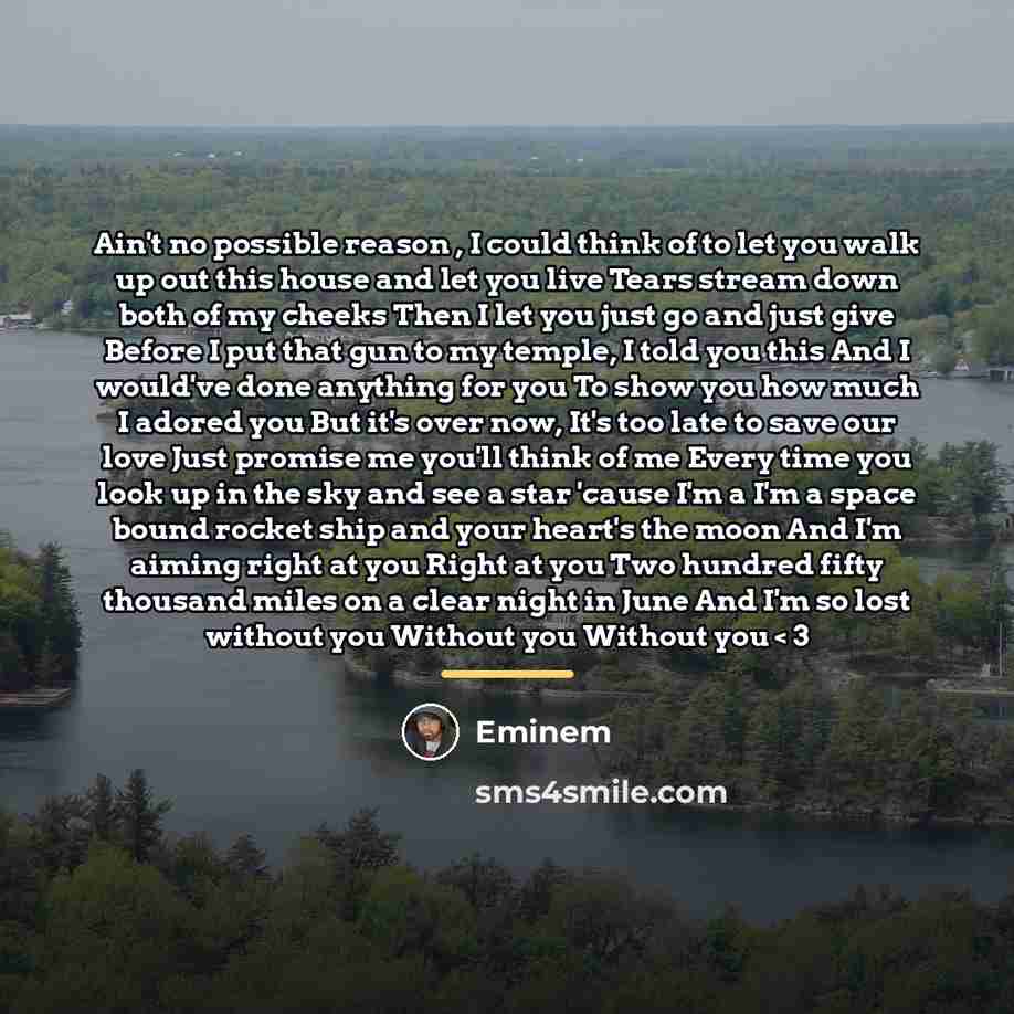 “Ain't no possible reason , I could think of to…” quote by Eminem