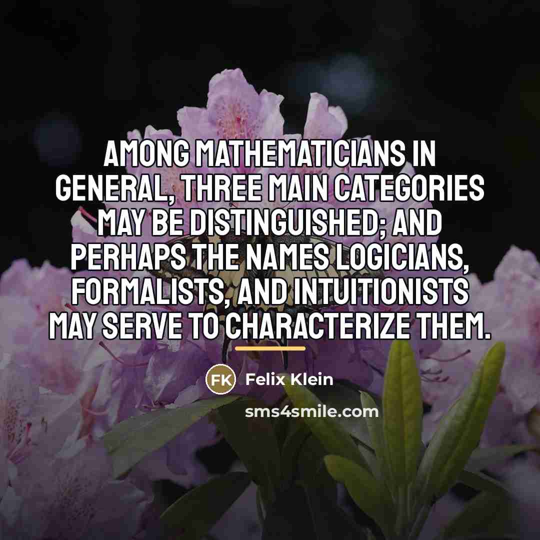 “Among mathematicians in general, three main categories may be distinguished;…” quote by Felix Klein