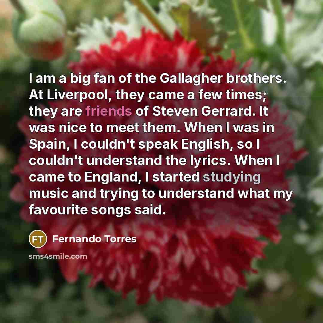 “I am a big fan of the Gallagher brothers. At…” quote by Fernando Torres
