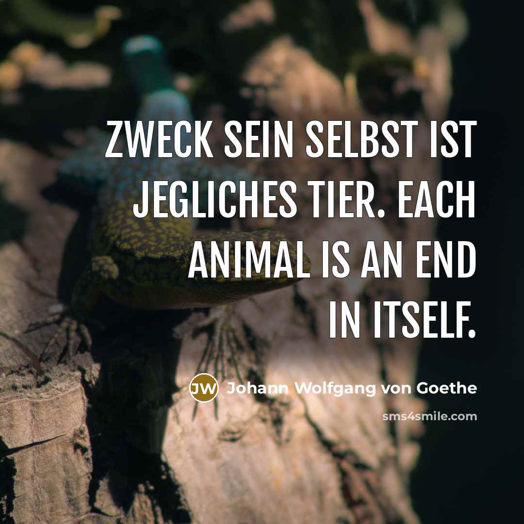 “Zweck sein selbst ist jegliches Tier. Each animal is an…” quote by Johann Wolfgang von Goethe