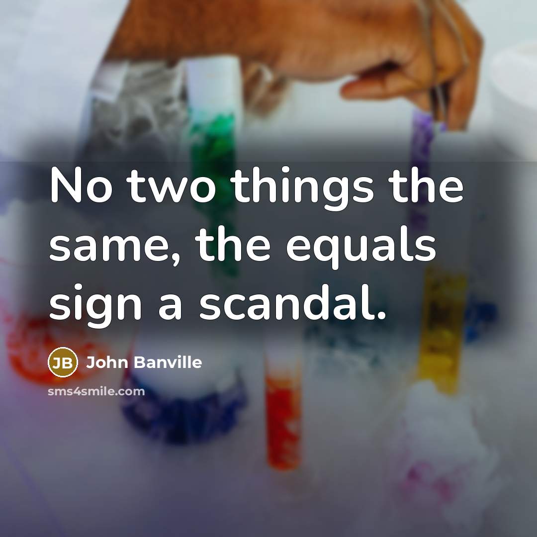 “No two things the same, the equals sign a scandal.…” quote by John Banville