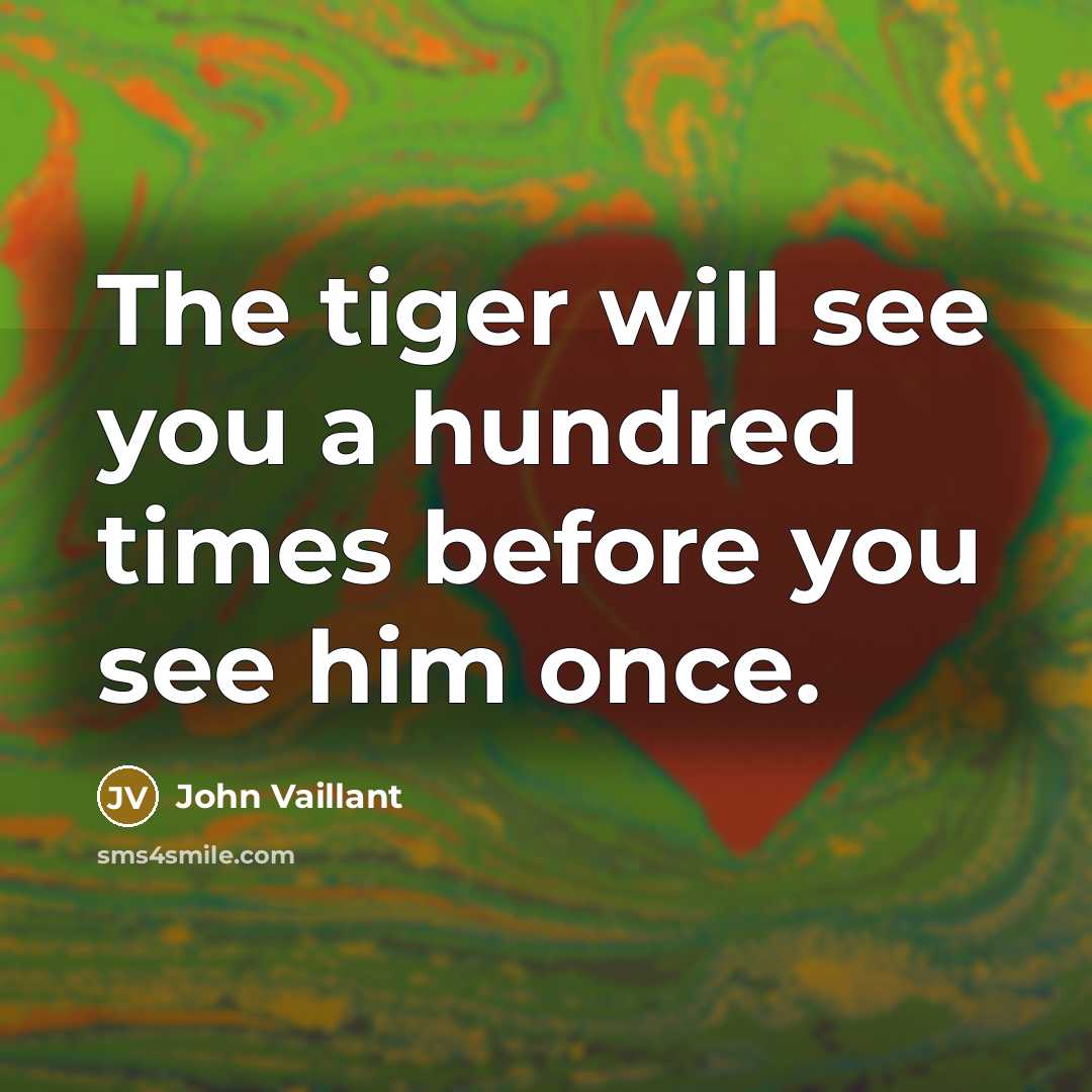 “The tiger will see you a hundred times before you…” quote by John Vaillant
