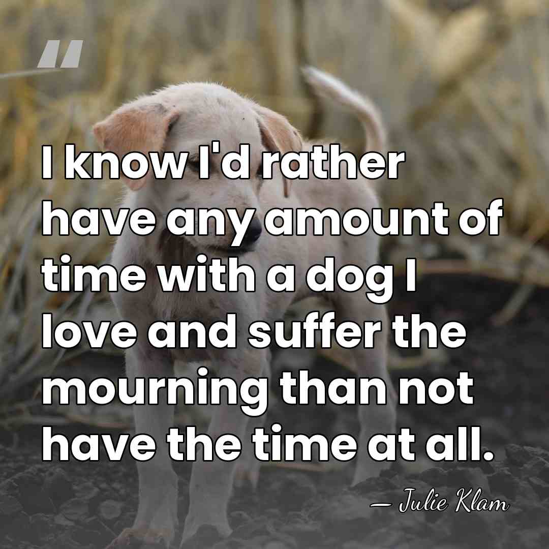 I know I'd rather have any amount of time with a dog&hellip; - Julie Klam