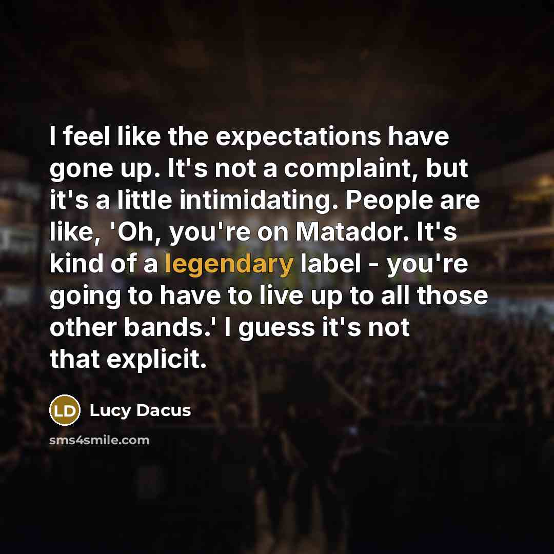 “I feel like the expectations have gone up. It's not…” quote by Lucy Dacus