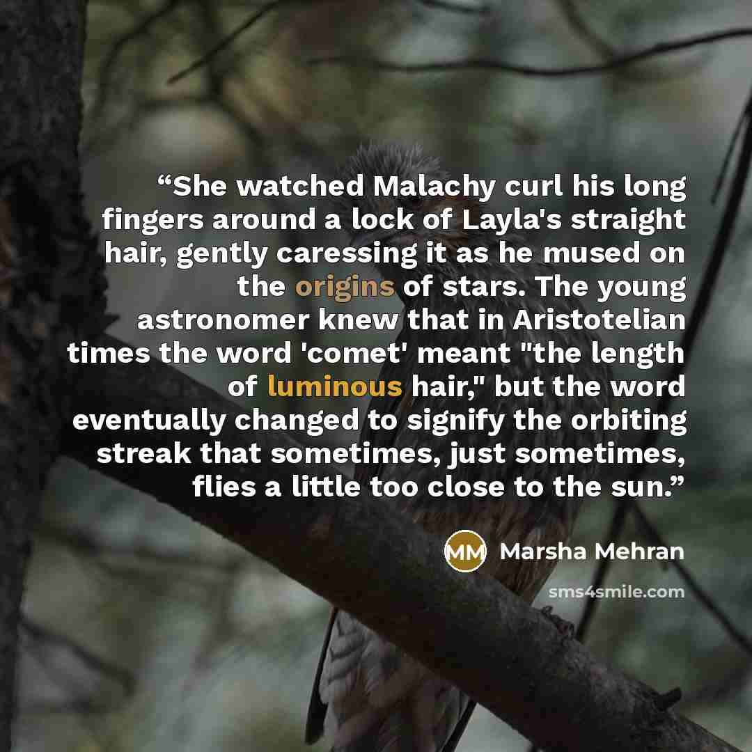 “She watched Malachy curl his long fingers around a lock of Layla's straight hair, gently caressing it as he mused on the origins of stars. The young astronomer knew that in Aristotelian times the word 'comet' meant "the length of luminous hair," but the word eventually changed to signify the…” quote by Marsha Mehran