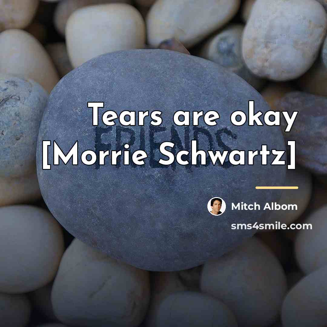 “Tears are okay [Morrie Schwartz]…” quote by Mitch Albom