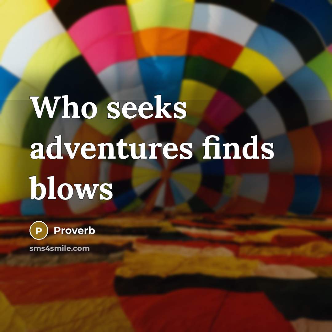 “Who seeks adventures finds blows…” quote by Proverb