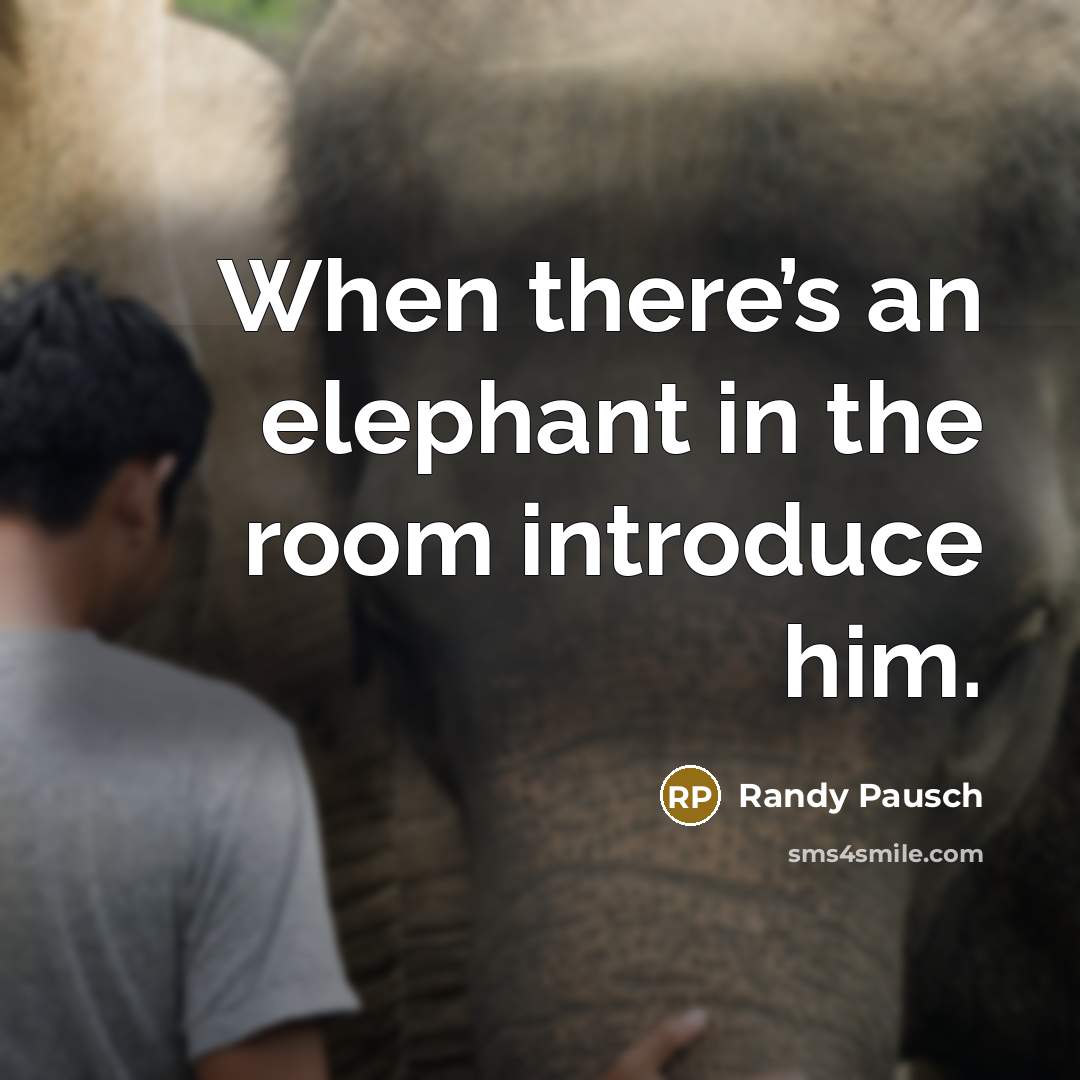 “When there’s an elephant in the room introduce him.…” quote by Randy Pausch