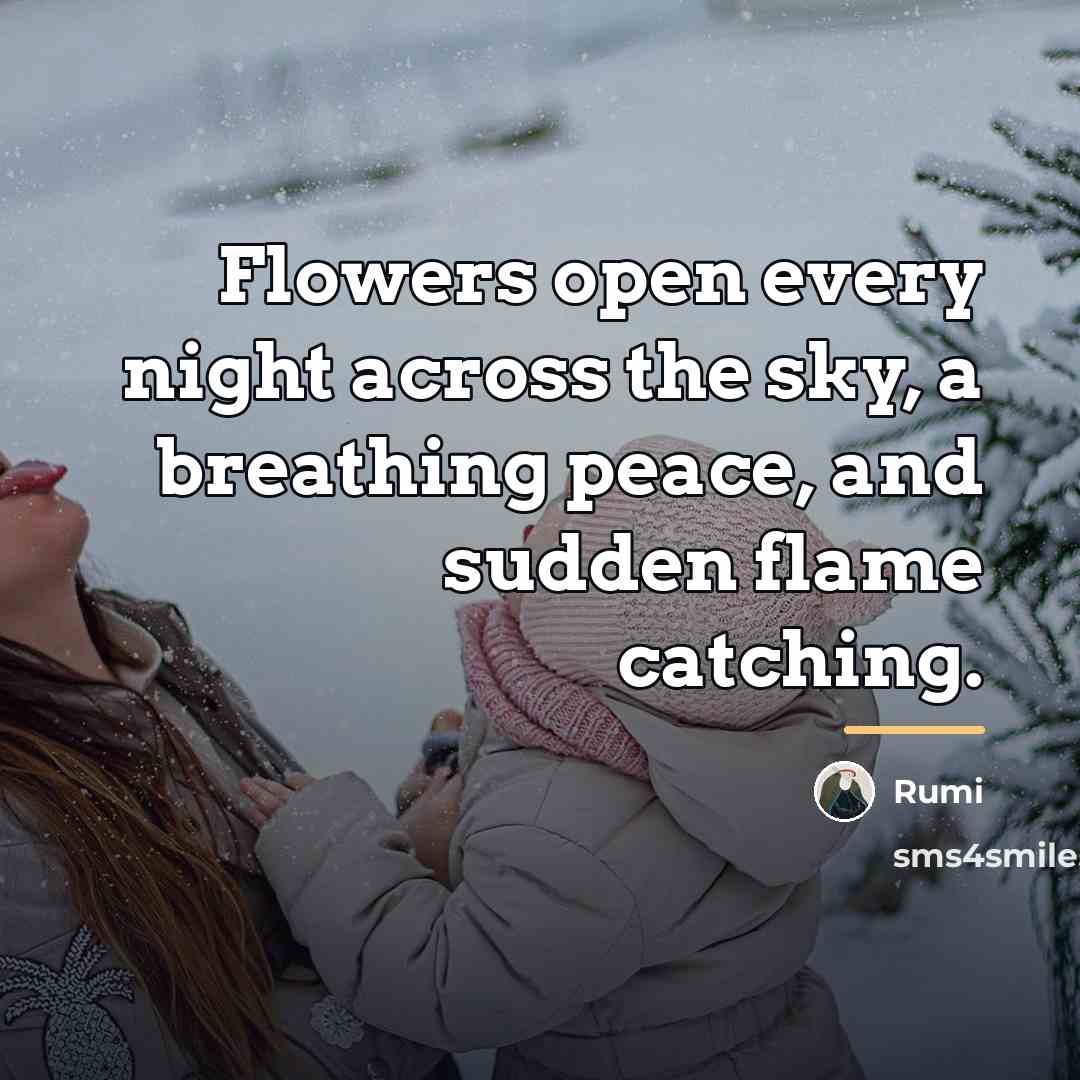 “Flowers open every night across the sky, a breathing peace,…” quote by Rumi