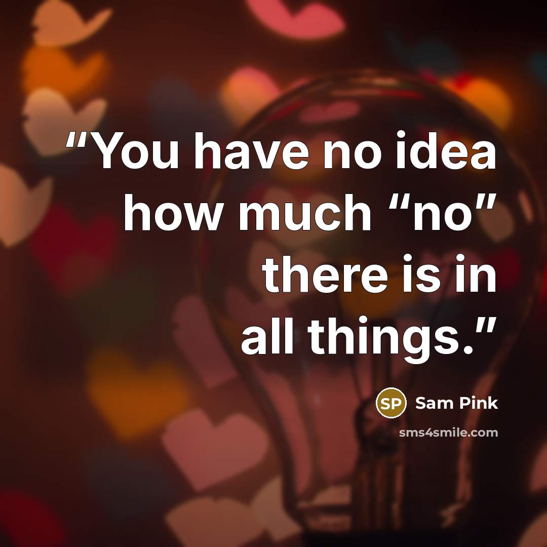 “You have no idea how much “no” there is in all things.” quote by Sam Pink