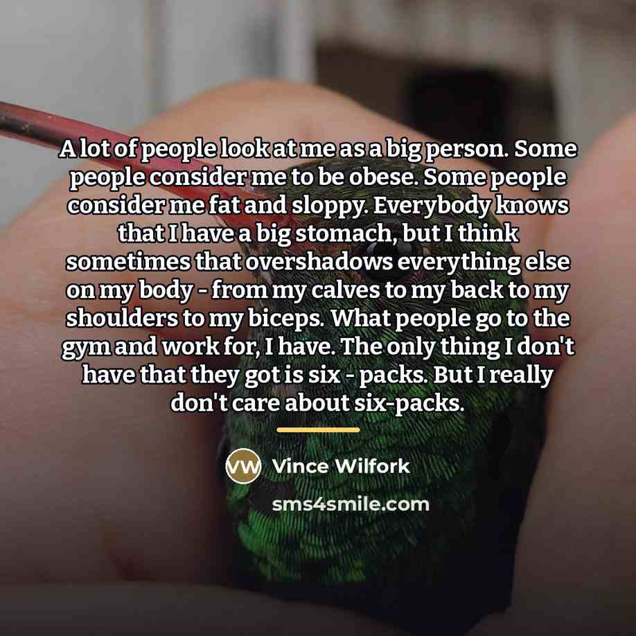 “A lot of people look at me as a big…” quote by Vince Wilfork