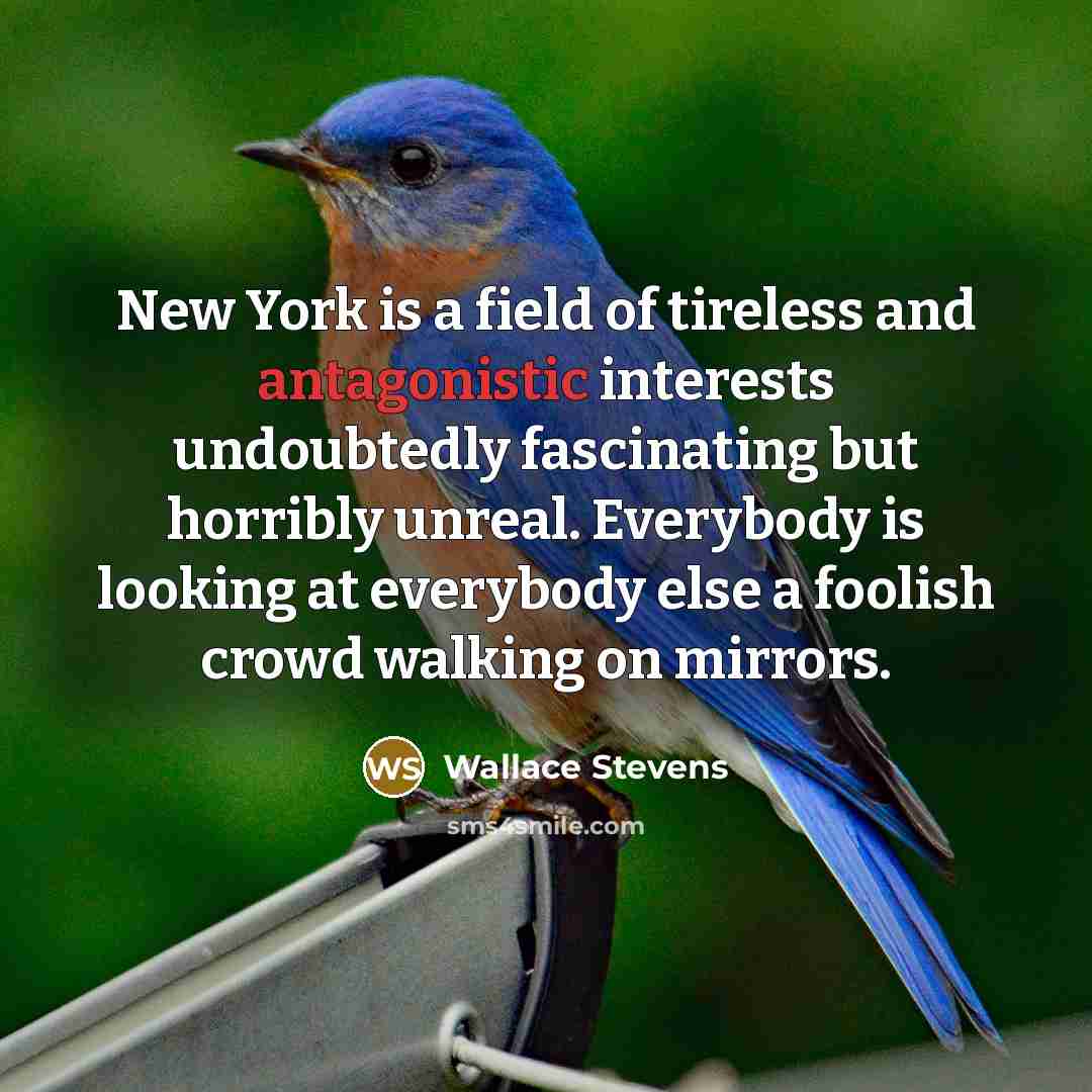 “New York is a field of tireless and antagonistic interests…” quote by Wallace Stevens