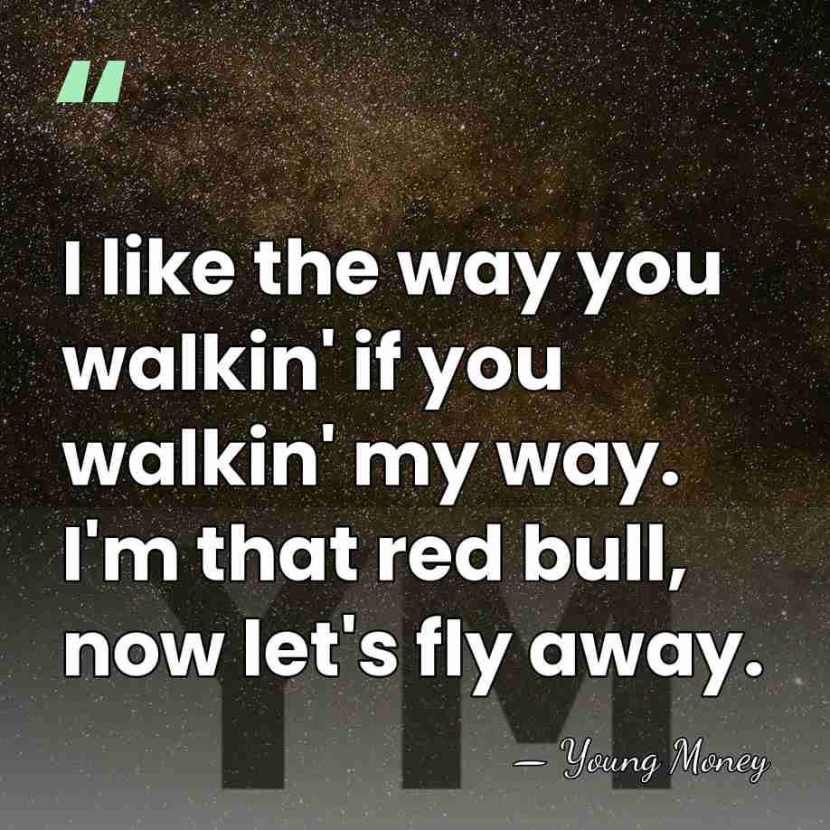 I like the way you walkin' if you walkin' my way. I'm&hellip; - Young Money