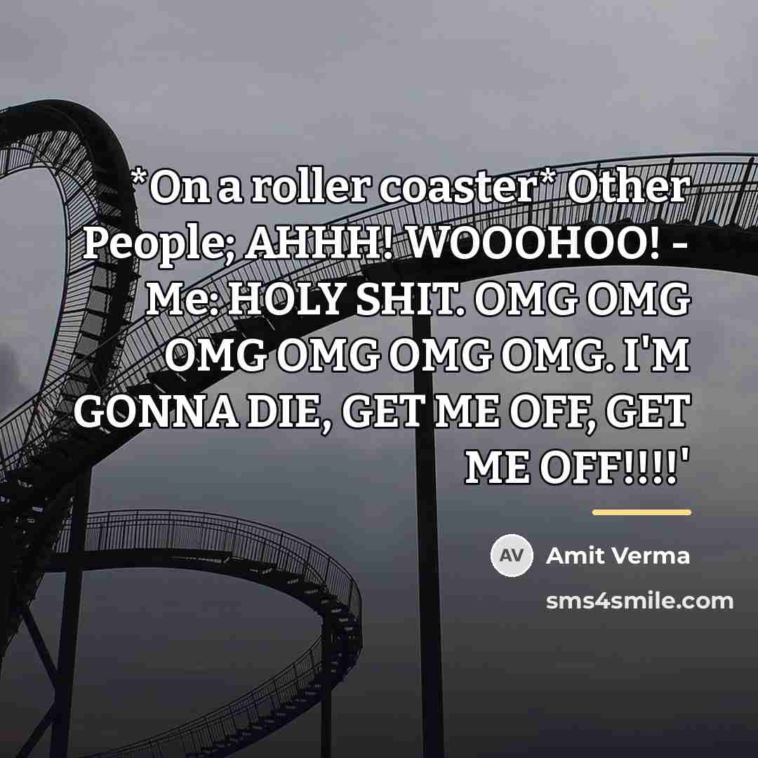 “*On a roller coaster* Other People; AHHH! WOOOHOO! - Me:…” quote by Amit Verma