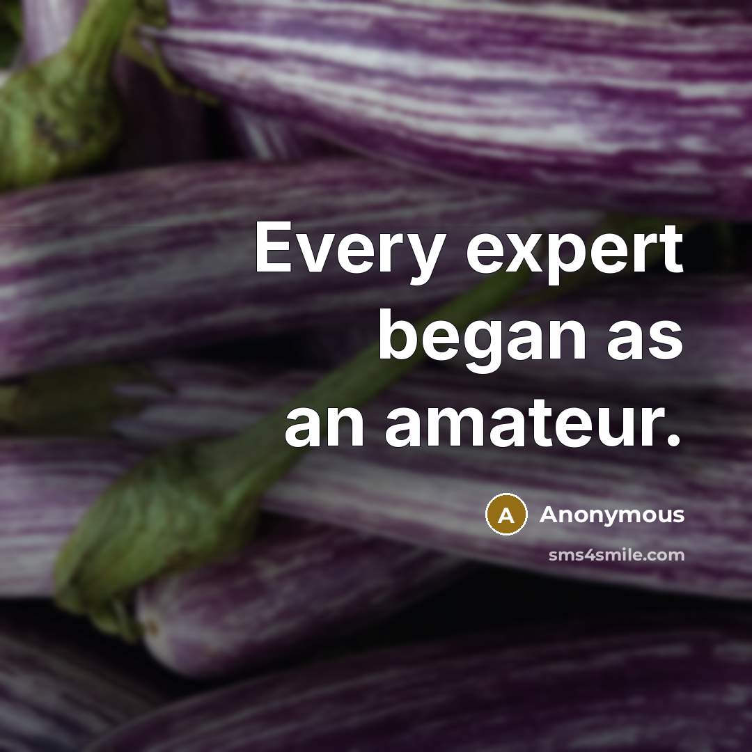 “Every expert began as an amateur.” quote by Anonymous