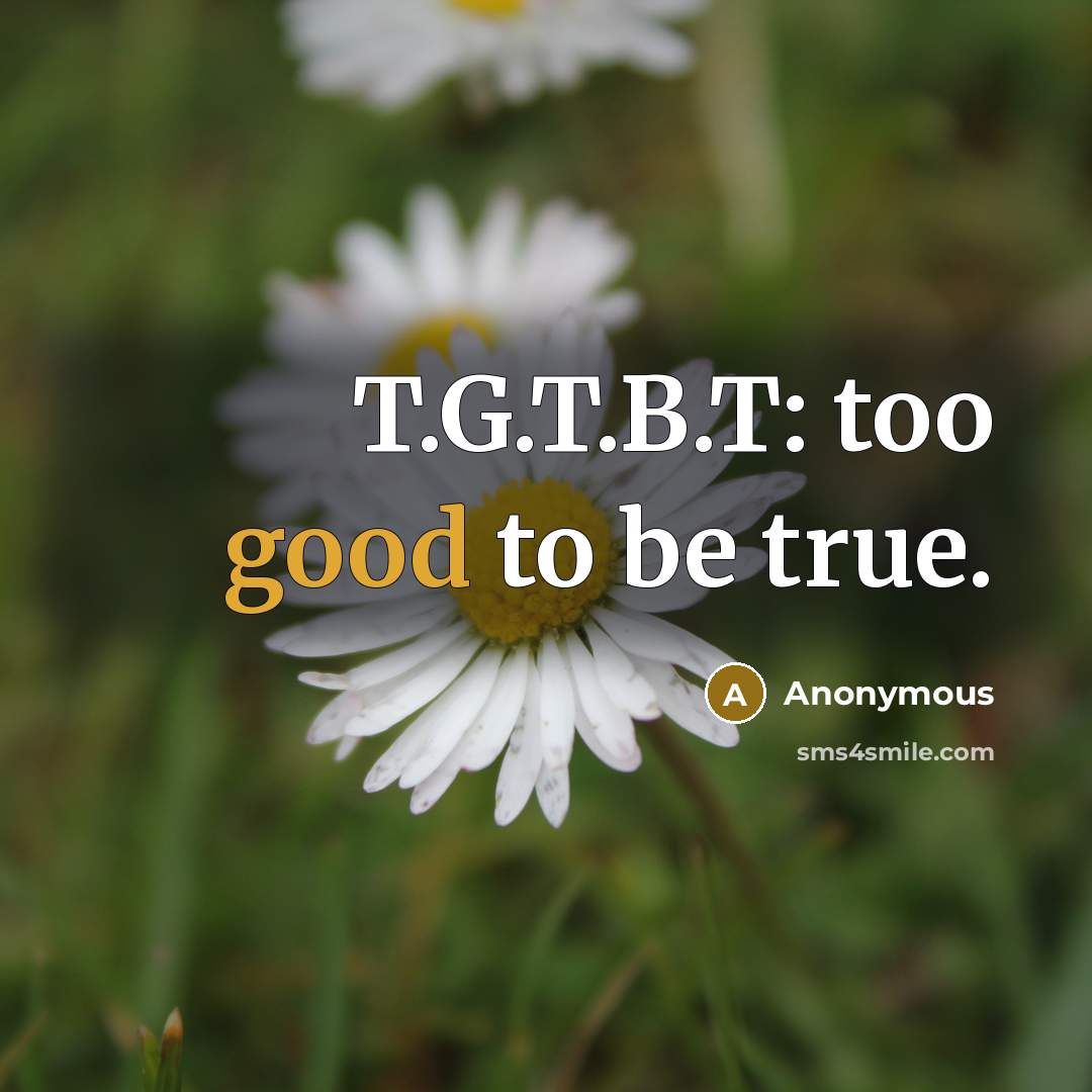 “T.G.T.B.T: too good to be true.…” quote by Anonymous