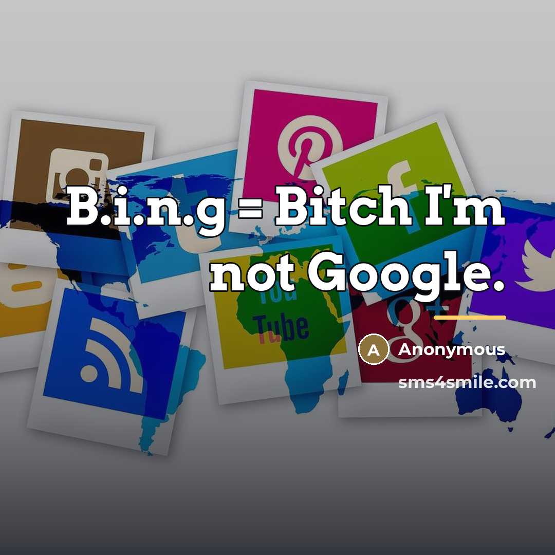 “B.i.n.g = Bitch I'm not Google.…” quote by Anonymous