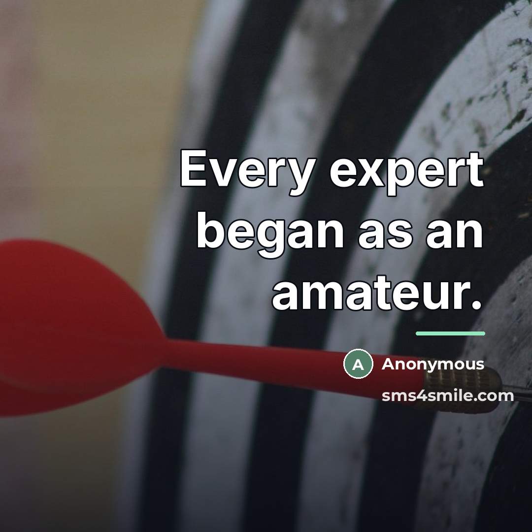 “Every expert began as an amateur.…” quote by Anonymous