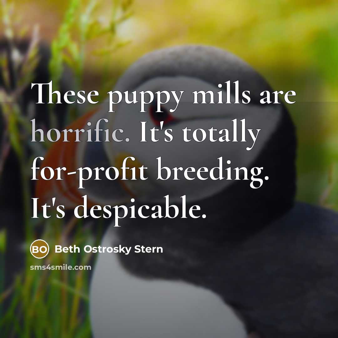 “These puppy mills are horrific. It's totally for-profit breeding. It's…” quote by Beth Ostrosky Stern