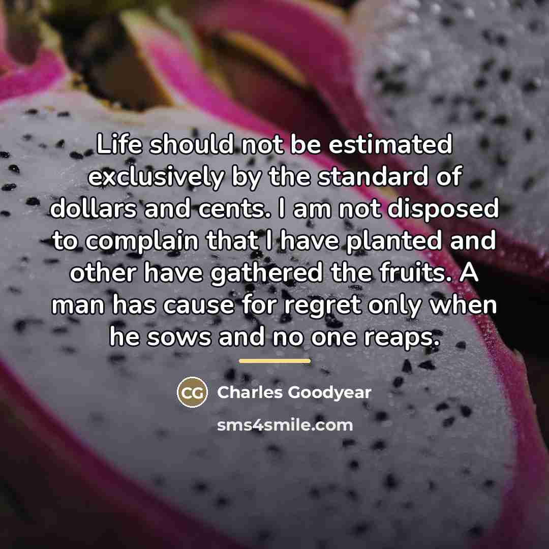 “Life should not be estimated exclusively by the standard of…” quote by Charles Goodyear