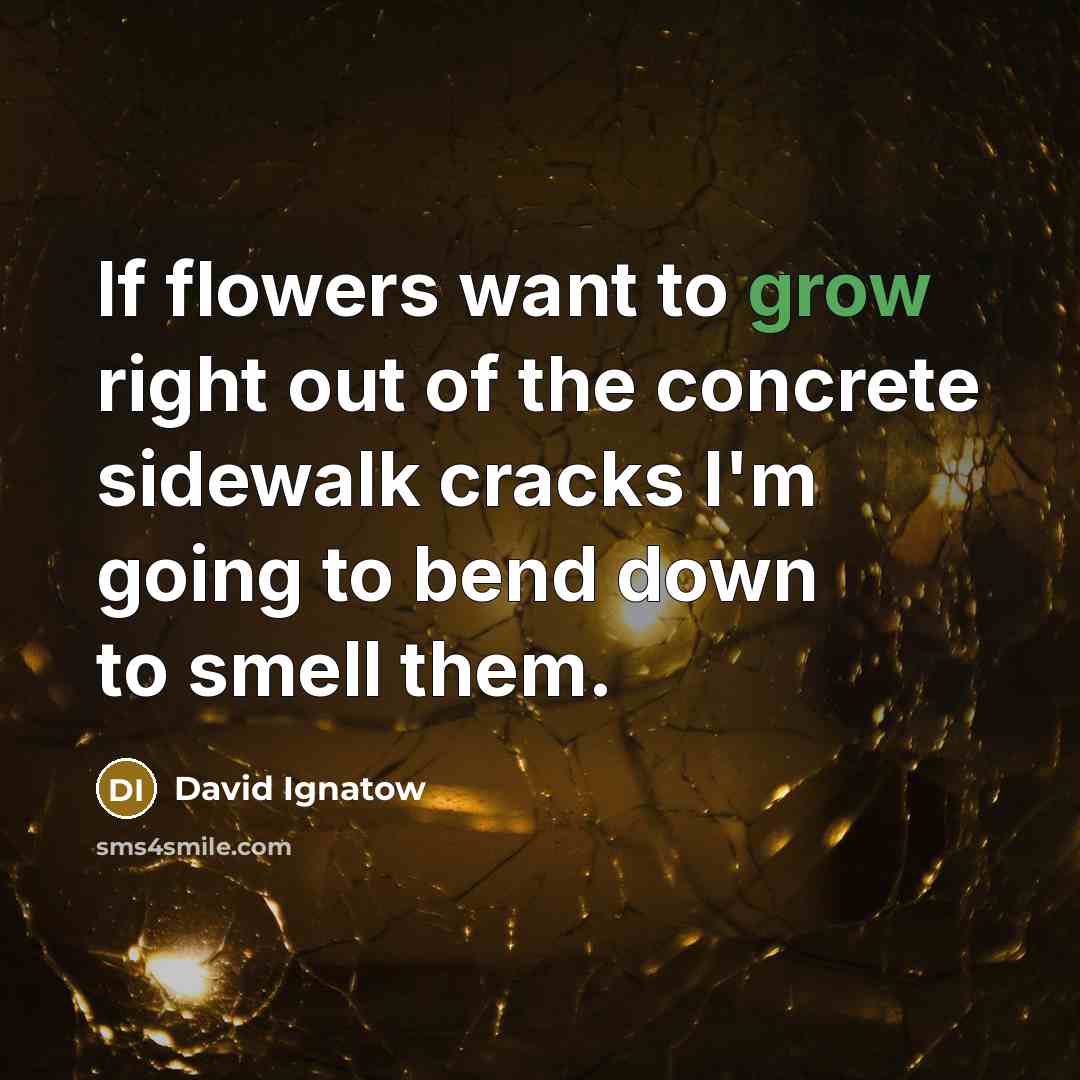 “If flowers want to grow right out of the concrete…” quote by David Ignatow