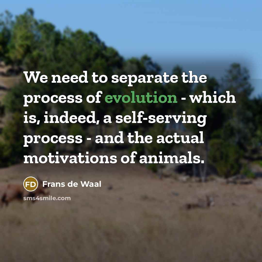 “We need to separate the process of evolution - which…” quote by Frans de Waal