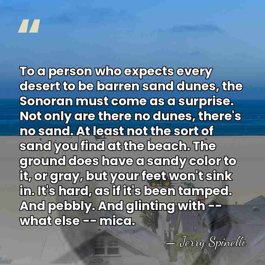 To a person who expects every desert to be barren sand dunes,&hellip; - Jerry Spinelli
