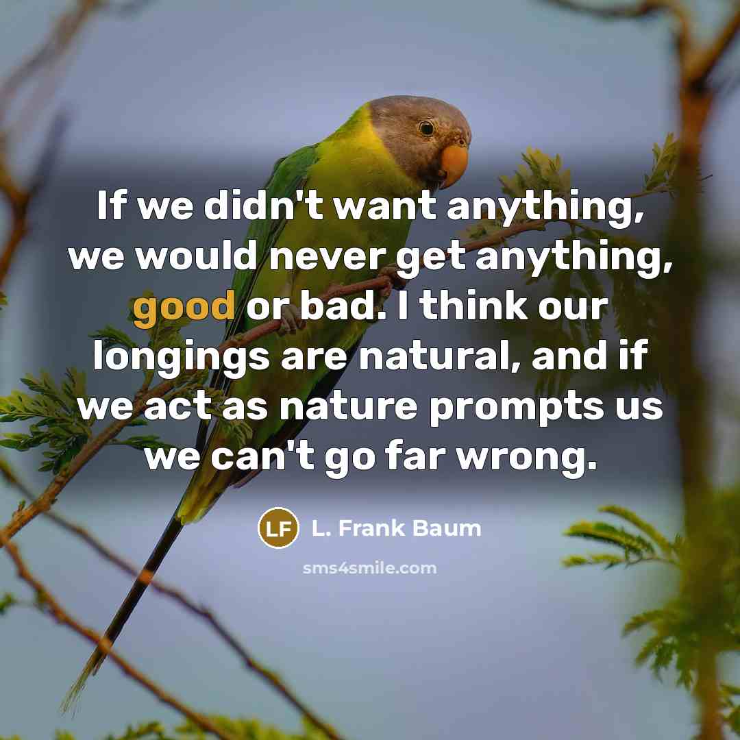 “If we didn't want anything, we would never get anything,…” quote by L. Frank Baum