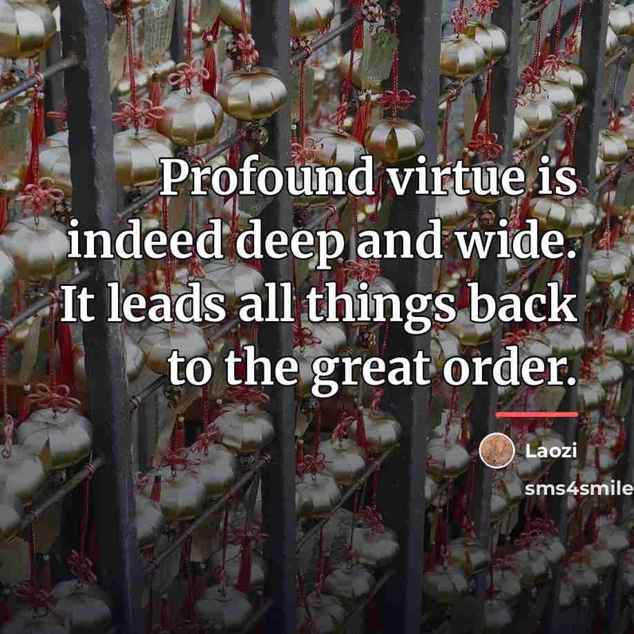 “Profound virtue is indeed deep and wide. It leads all…” quote by Laozi