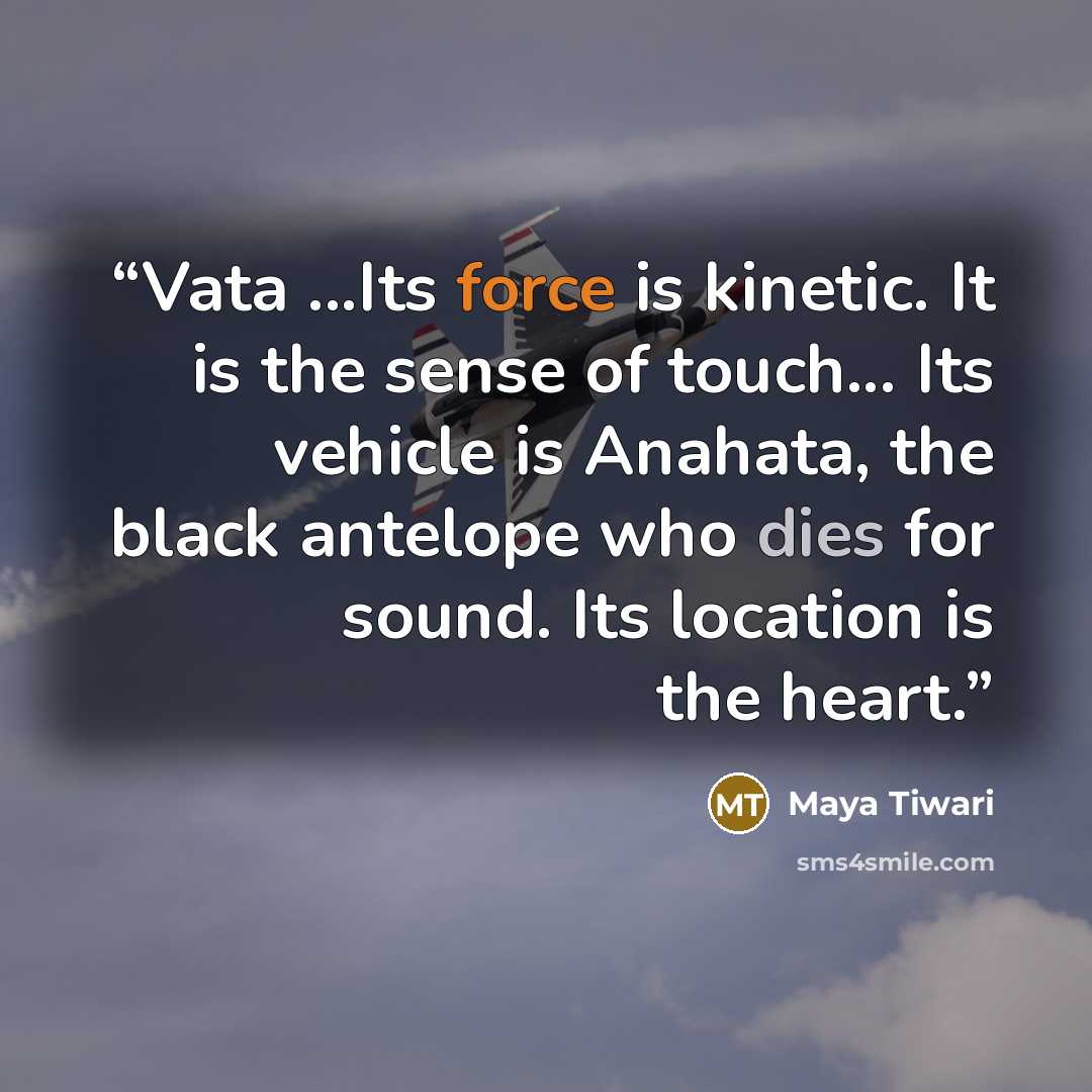 “Vata ...Its force is kinetic. It is the sense of touch... Its vehicle is Anahata, the black antelope who dies for sound. Its location is the heart.” quote by Maya Tiwari