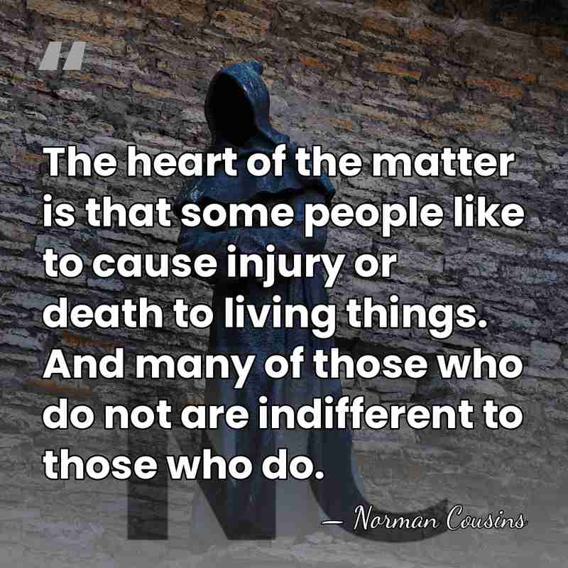 The heart of the matter is that some people like to cause&hellip; - Norman Cousins