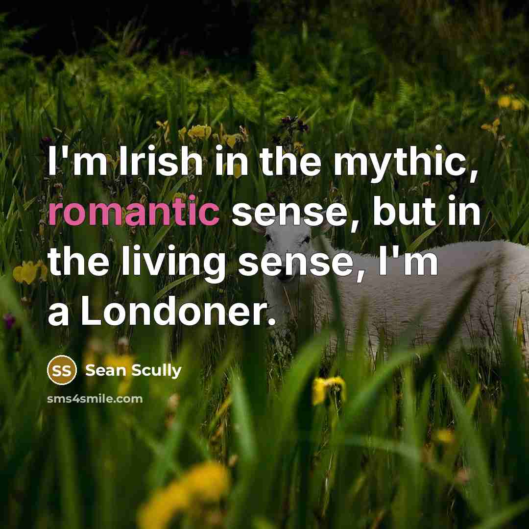 “I'm Irish in the mythic, romantic sense, but in the…” quote by Sean Scully