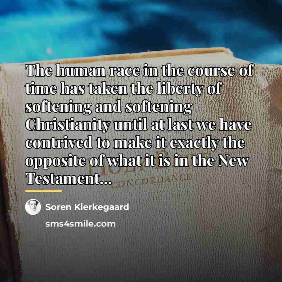 “The human race in the course of time has taken…” quote by Soren Kierkegaard