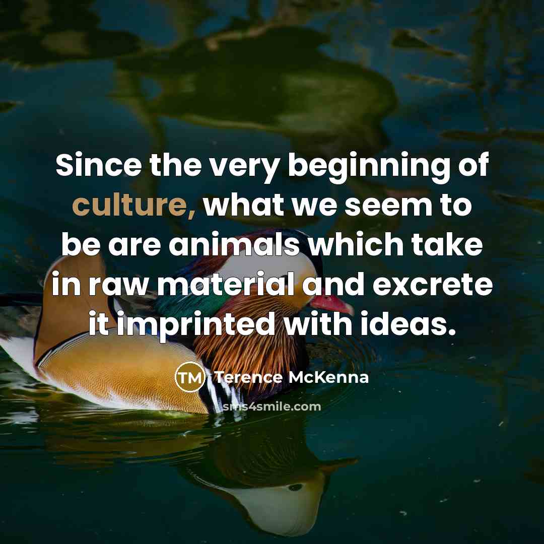 “Since the very beginning of culture, what we seem to…” quote by Terence McKenna